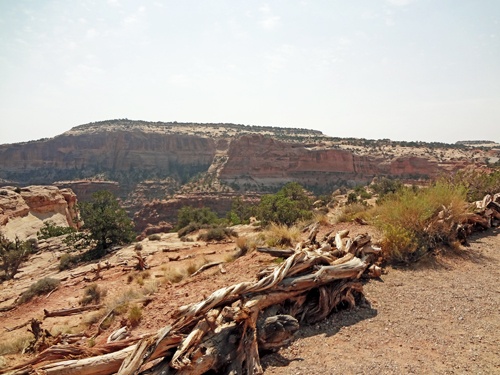 view from The Neck Overlook at Canyonlands National Park